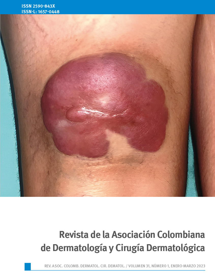 					Ver Vol. 31 Núm. 1 (2023): Enero-Marzo
				