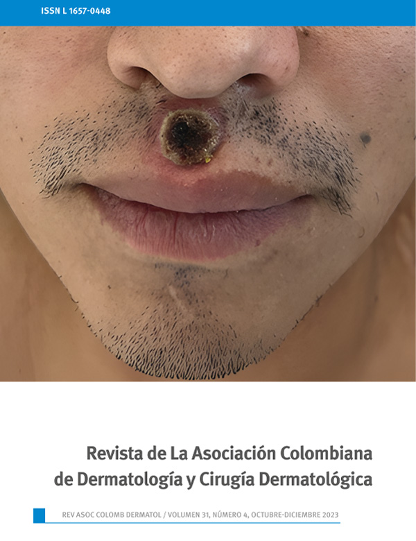 					Ver Vol. 31 Núm. 4 (2023): Octubre-Diciembre
				