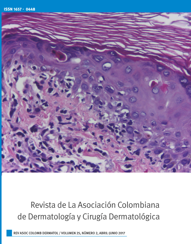 					Ver Vol. 25 Núm. 2 (2017): Abril - Junio
				