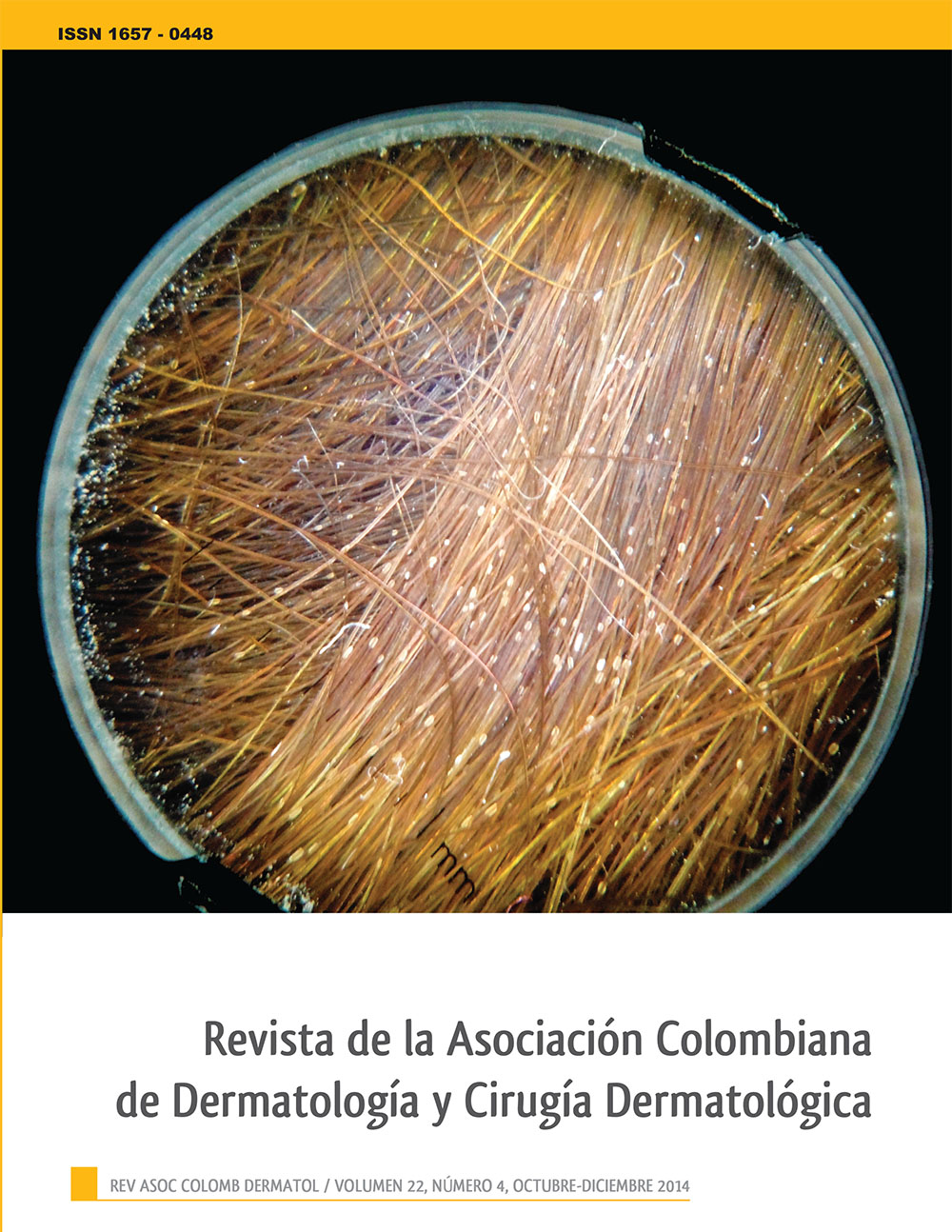 					Ver Vol. 22 Núm. 4 (2014): Octubre - Diciembre
				