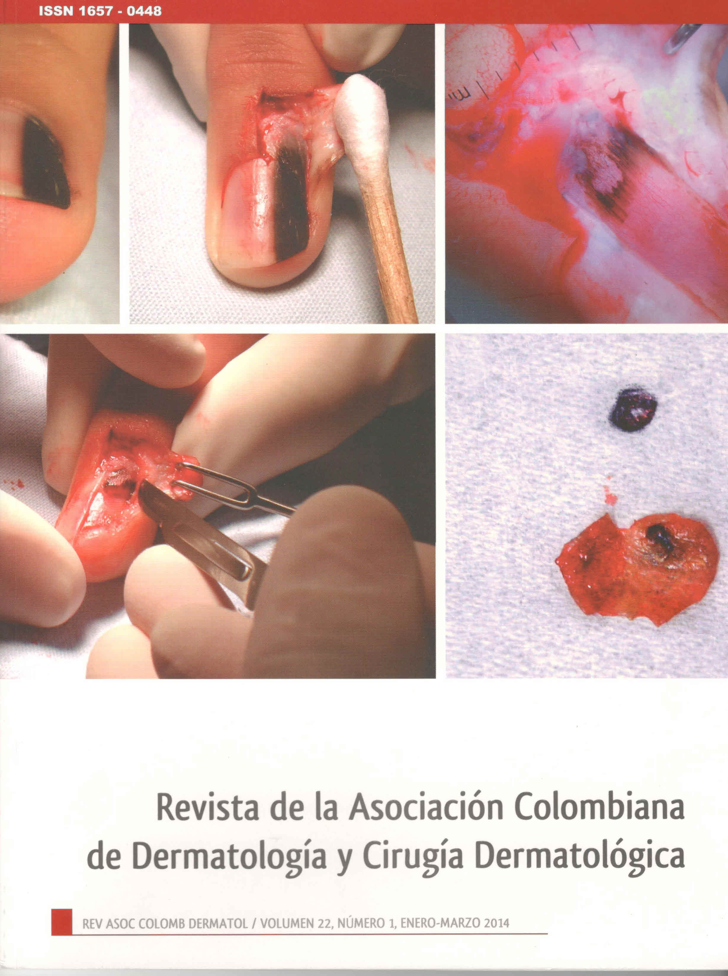 					Ver Vol. 22 Núm. 1 (2014): Enero - Marzo
				