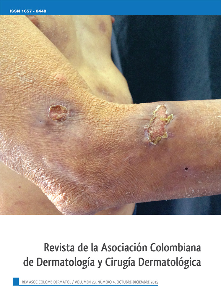 					Ver Vol. 23 Núm. 4 (2015): Octubre - Diciembre
				