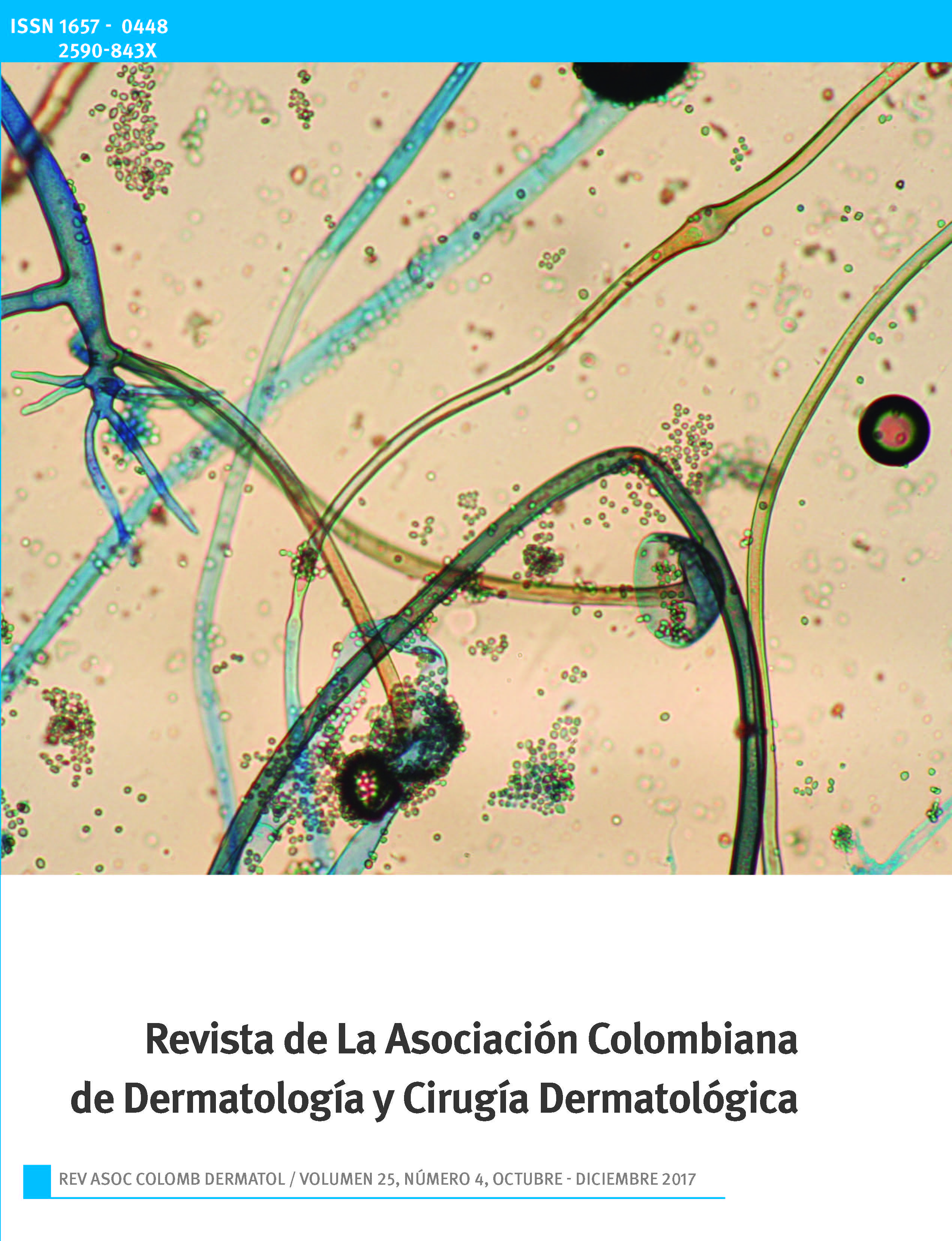 					Ver Vol. 25 Núm. 4 (2017): Octubre - Diciembre
				