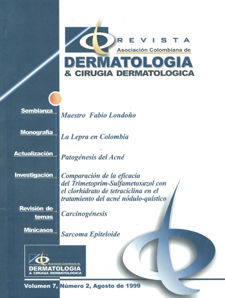 					Ver Vol. 7 Núm. 2 (1999): Agosto
				