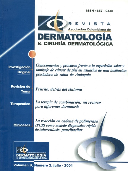 					Ver Vol. 9 Núm. 2 (2001): Julio
				